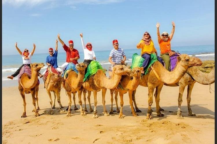 Moroccan desert sunset newsletter