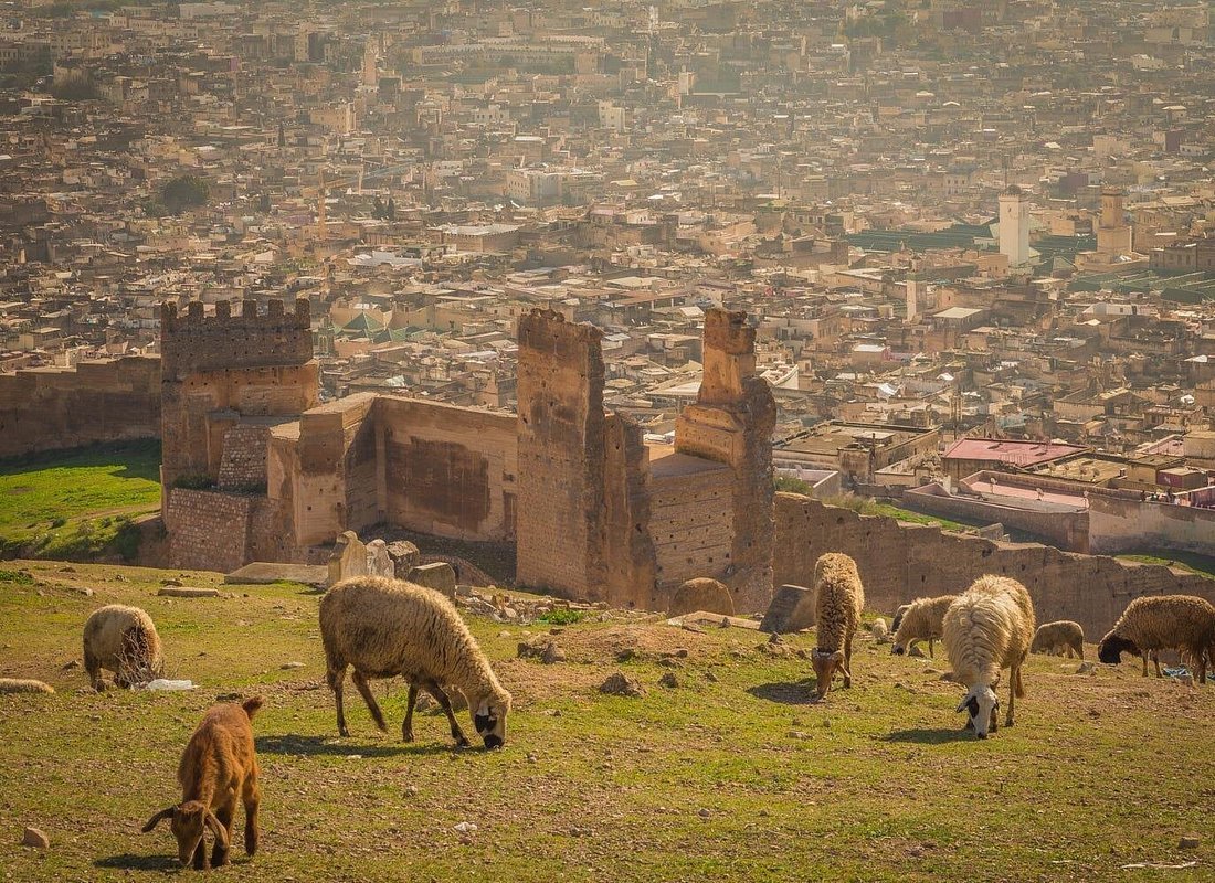 Historic skyline of the Fès medina with its minarets