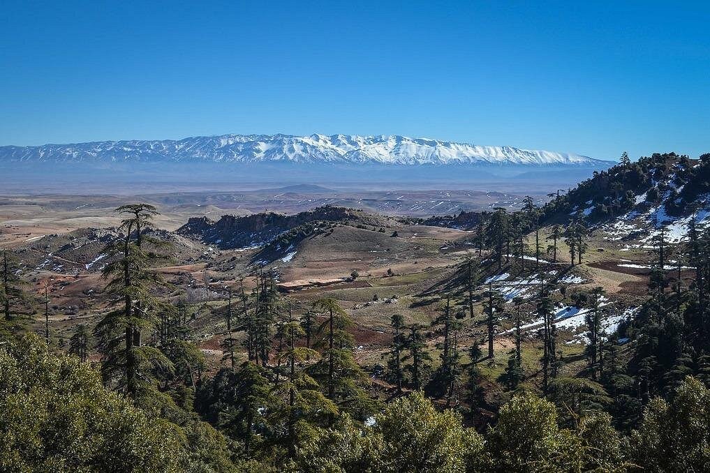 Alpine style houses of Ifrane surrounded by Middle Atlas cedar forest