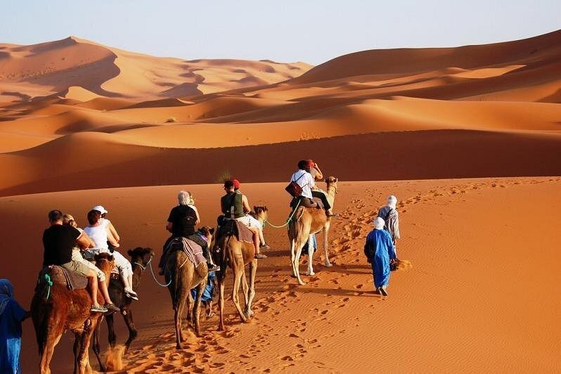 Camel caravan crossing the golden Erg Chebbi dunes at Merzouga