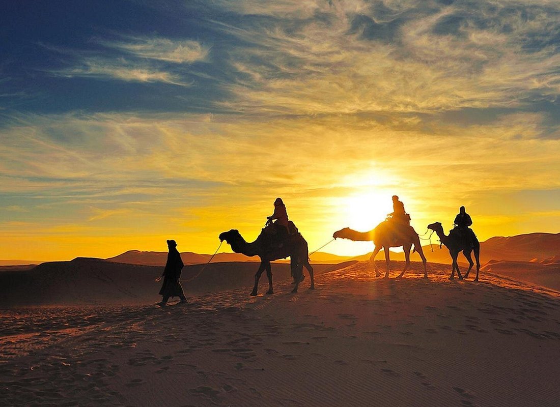 Camel trek across low dunes at sunset