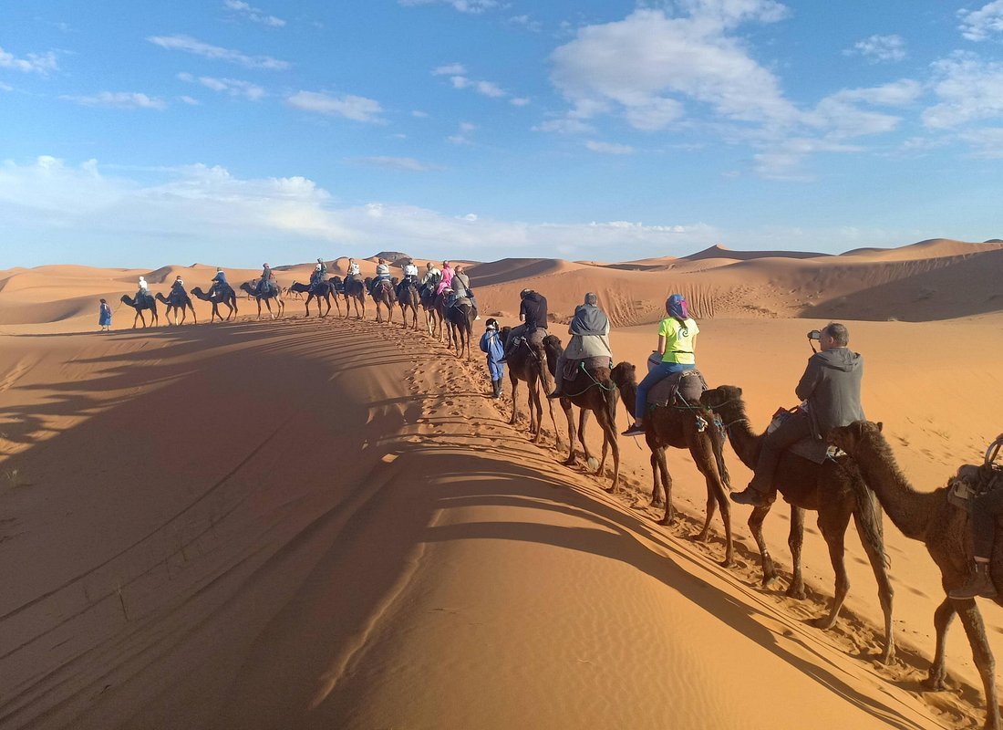 Camel caravan crossing the Merzouga dunes