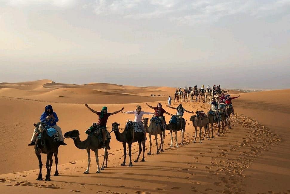 Camel caravan on the dunes near Zagora