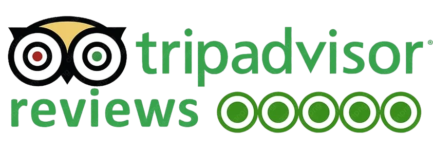 TripAdvisor reviews